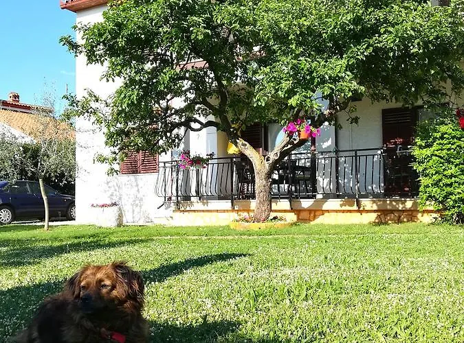 Nina *